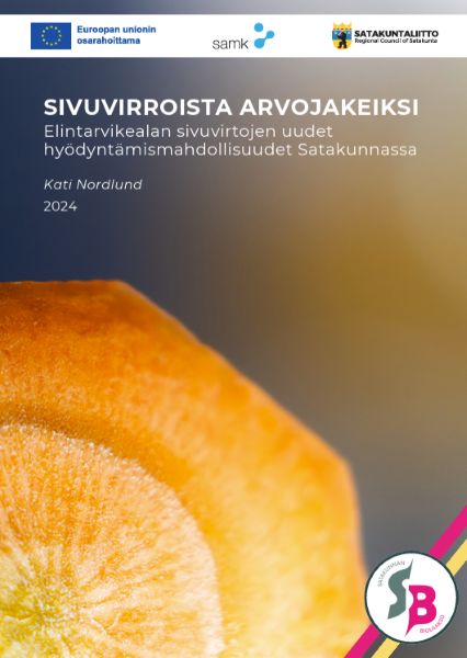 Sivuvirroista arvojakeiksi julkaisun kansikuva.