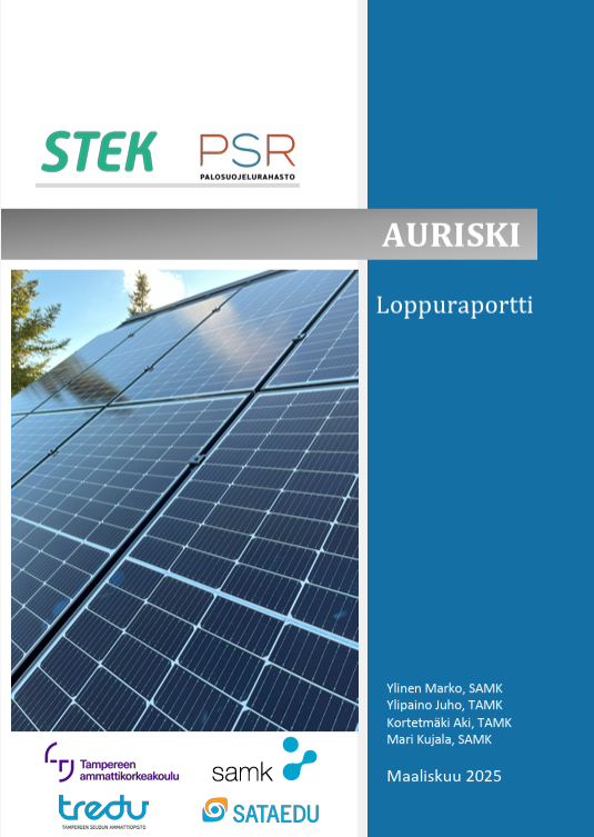 Näyttökuva 2025 08 06 145118